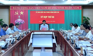 Bộ Chính trị, Ban Bí thư quyết định thi hành kỷ luật tổ chức đảng và đảng viên vi phạm